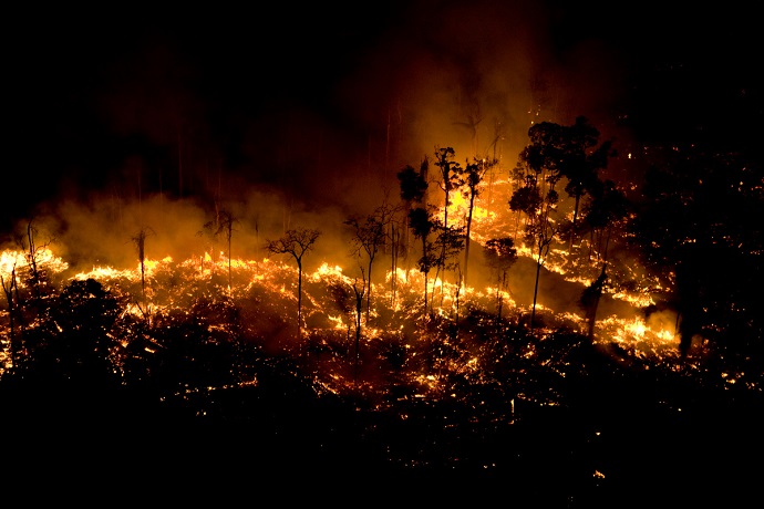 Queimadas Amazonia1