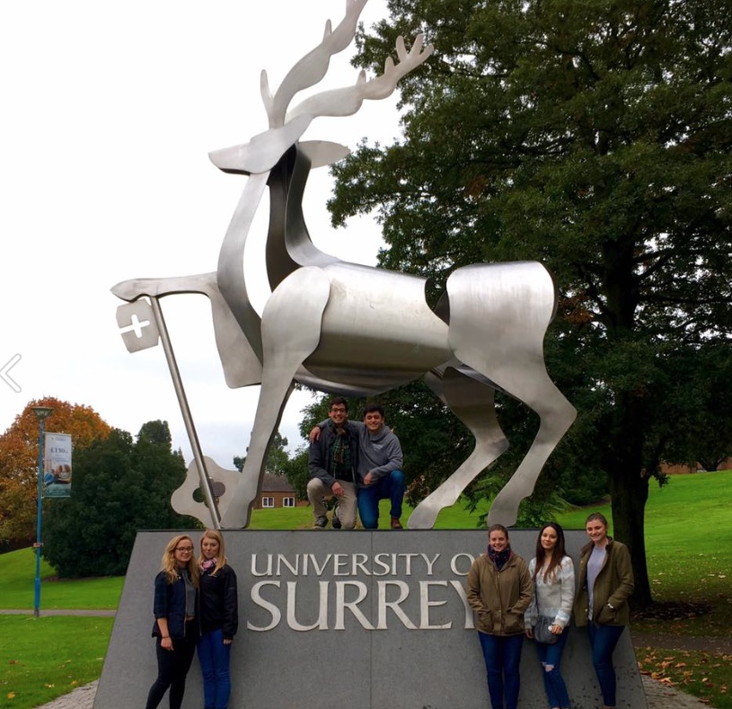 Universidade Surrey