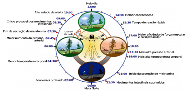 relogio biologico novo