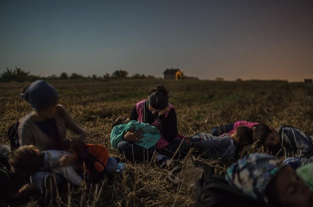 Refugiados premio brasileiro