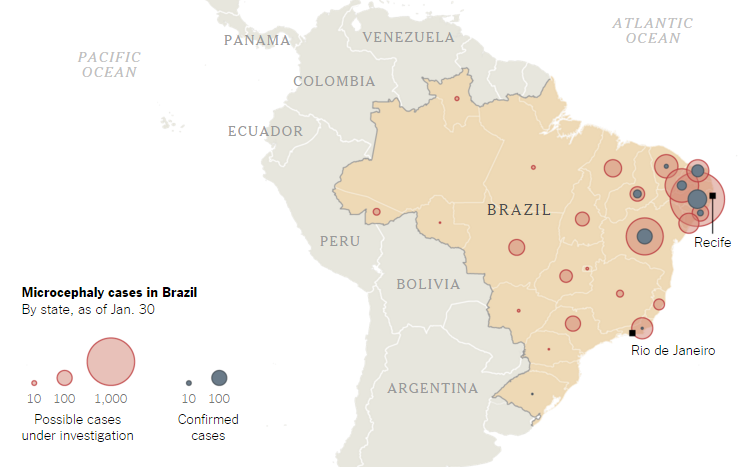 zika virus microcefalia